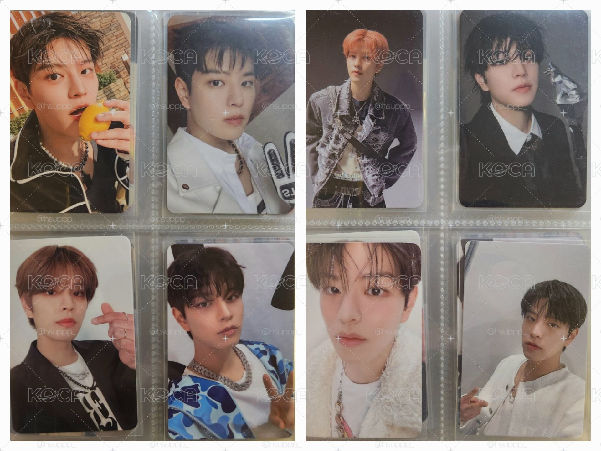 金小狗在等你帶他回家🥺 特典入場卡專卡小盤 
