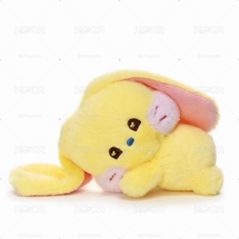 BUNINI 趴娃