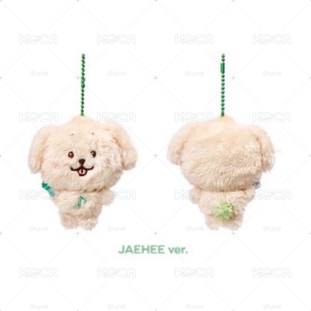 Jaehee口袋娃 叮特里