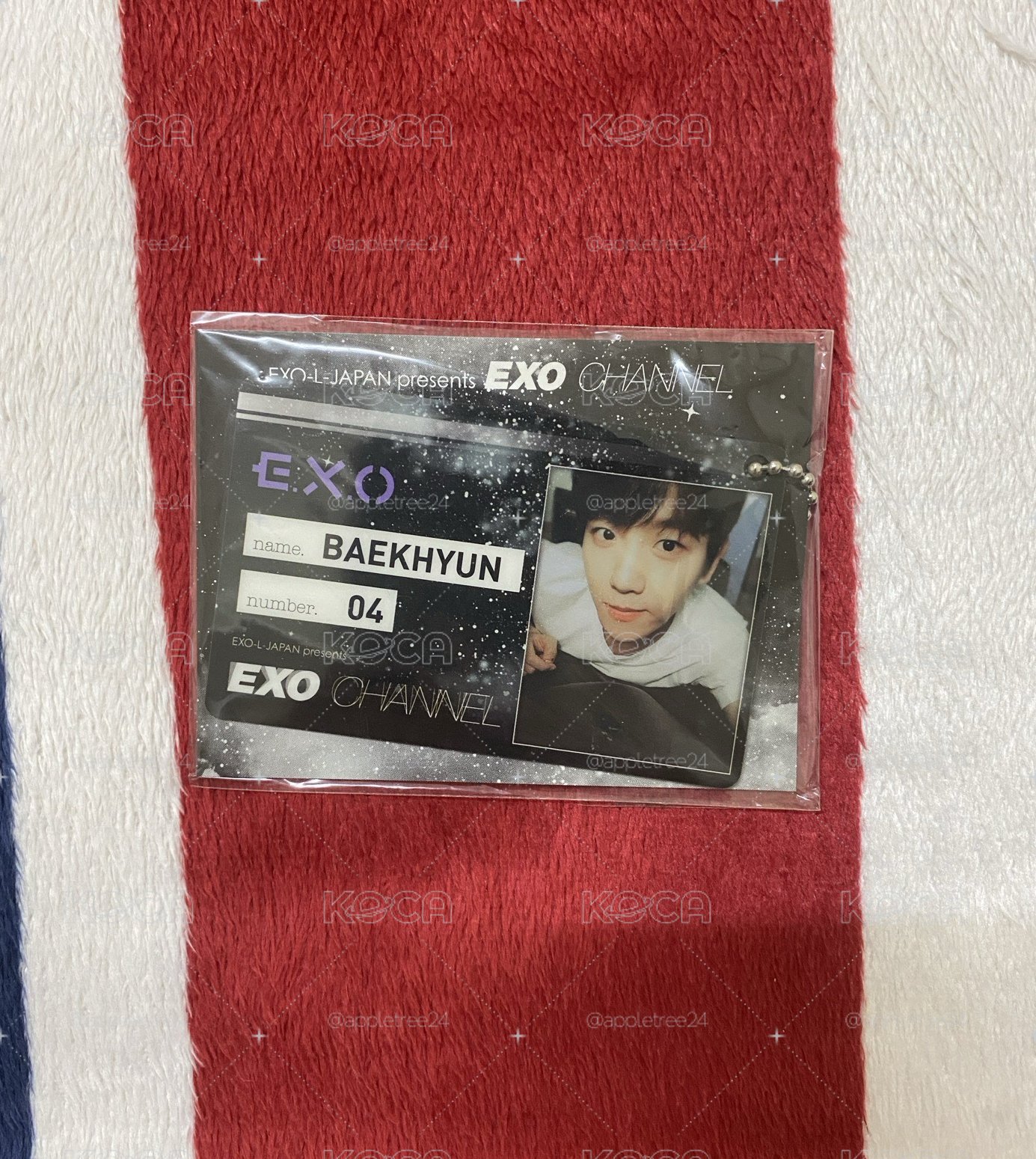 「全新未拆」EXO-L-JAPAN presents EXO CHANNEL "E.X.O" BAEKHYUN ID卡