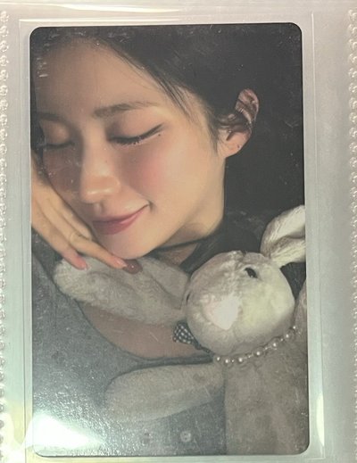 Asa兔子