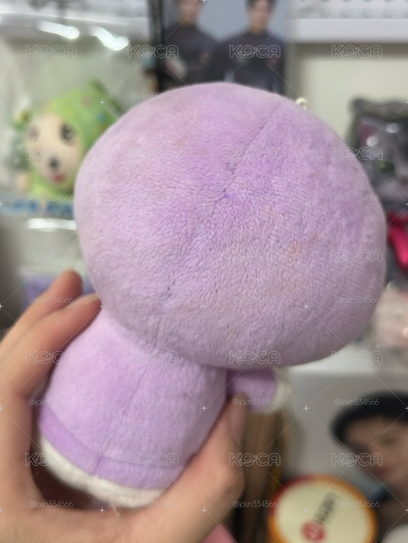 WDZY TUK HATT 贈卡套