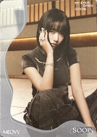 TELECA 收藏卡 MEOVV-B-011