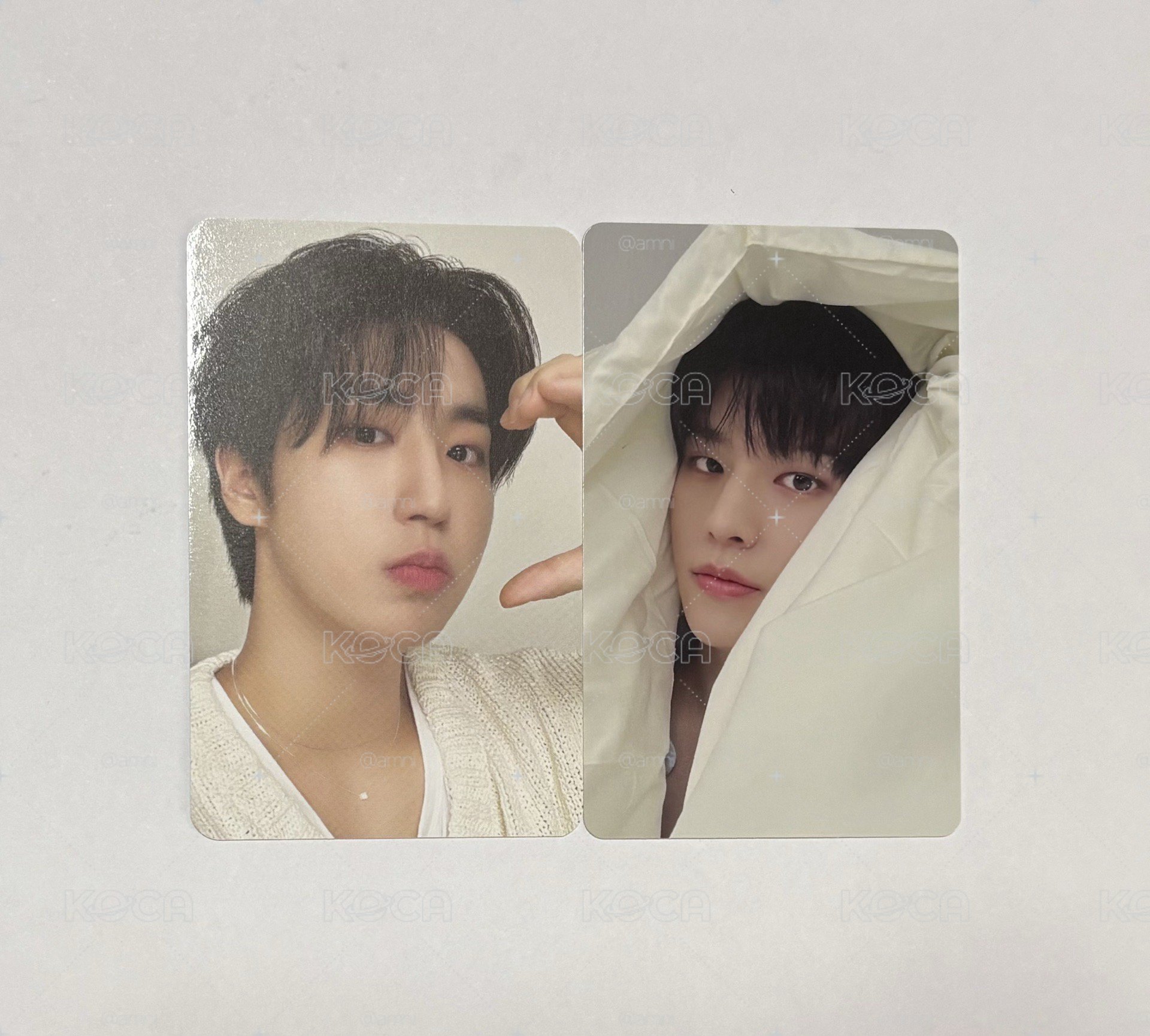 Stray kids 韓知城金昇玟小卡