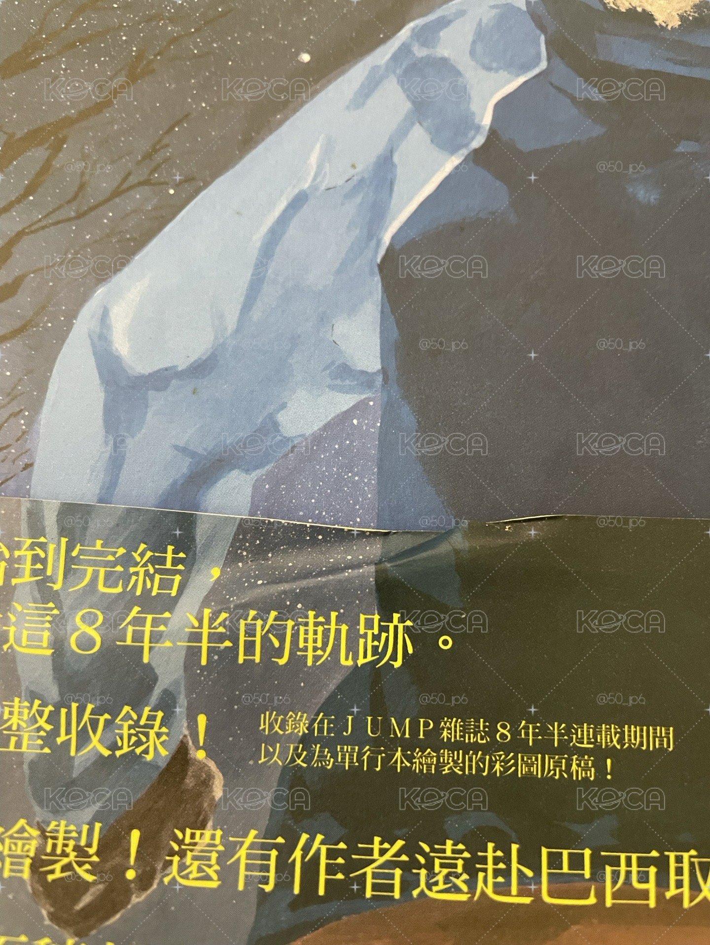 排球少年 原畫冊 插畫精選集