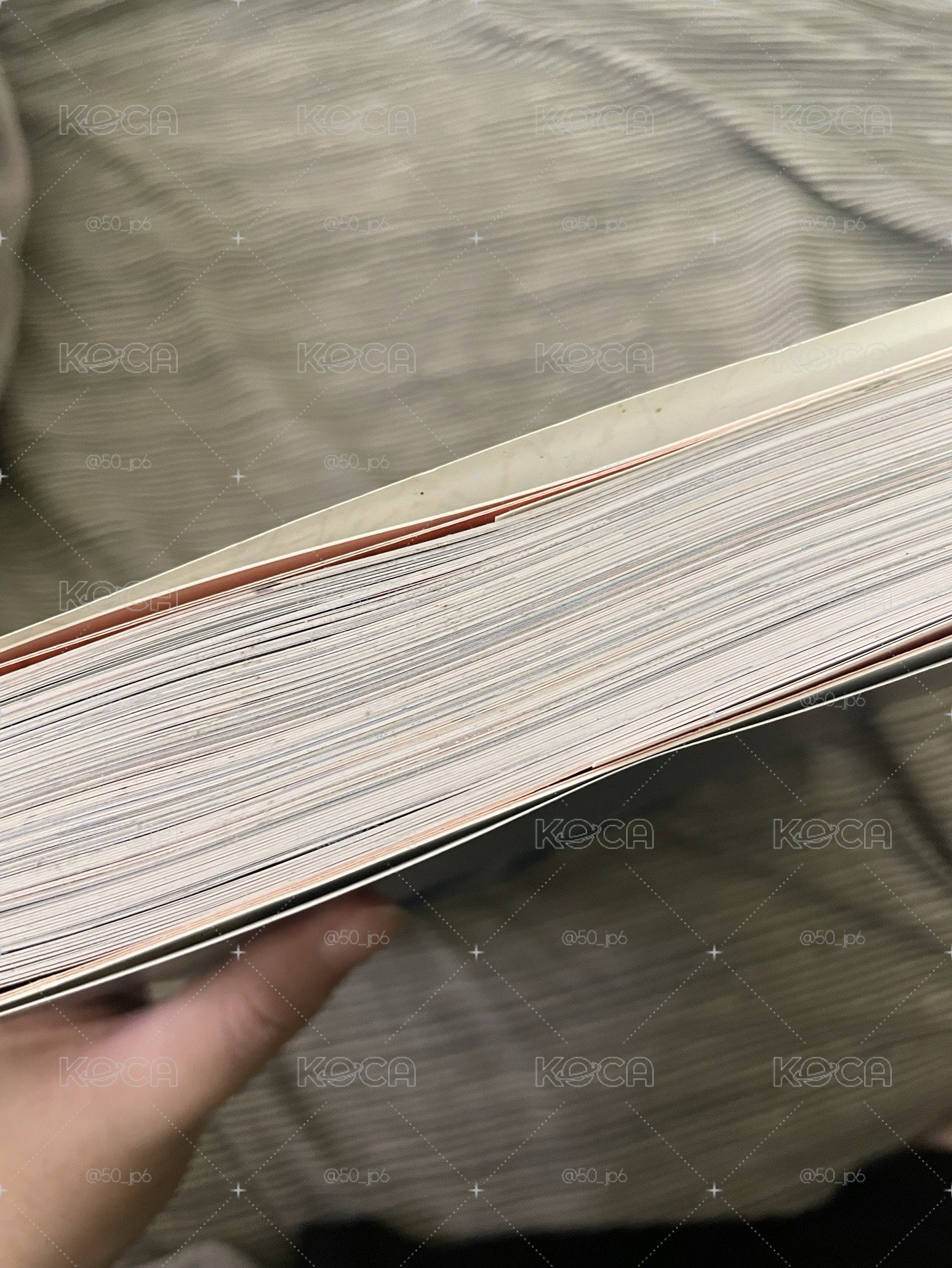 排球少年 原畫冊 插畫精選集