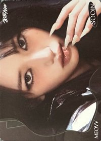 TELECA 收藏卡 MEOVV-B-017