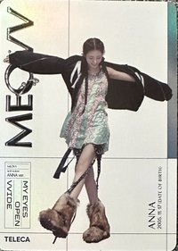 TELECA 收藏卡 MEOVV-MG-035