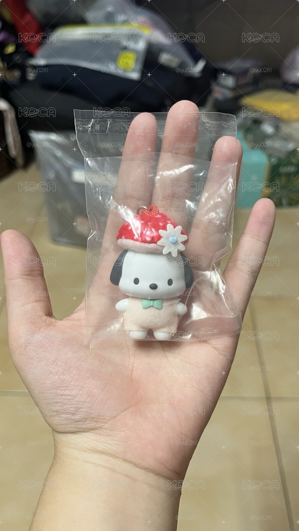 帕恰狗