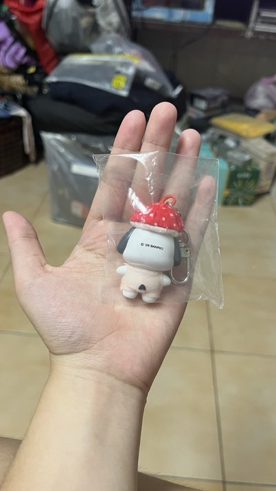帕恰狗