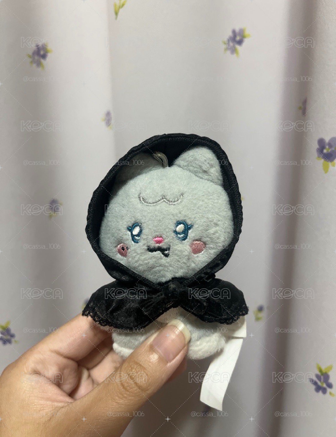 刷尼尼（指定下單 勿亂拍