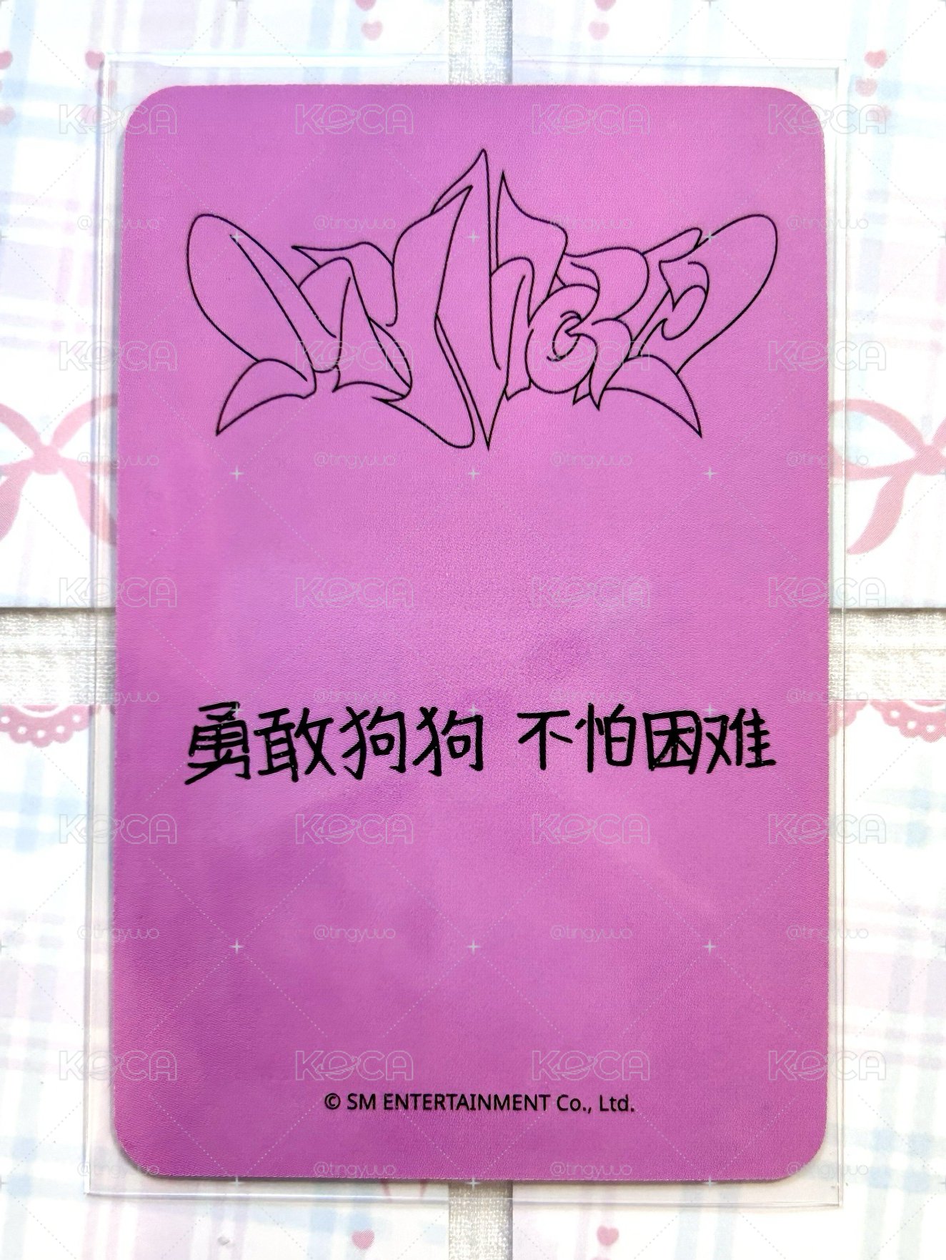 sr冬 勇敢狗狗 不怕困難
