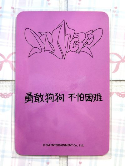 sr冬 勇敢狗狗 不怕困難