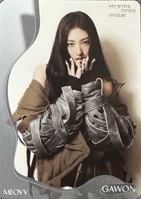 TELECA 收藏卡 MEOVV-B-012