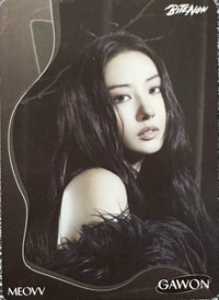 TELECA 收藏卡 MEOVV-B-023