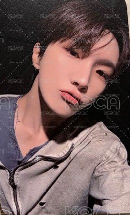 二巡 粽卡 boynextdoor  雲鶴 金雲鶴