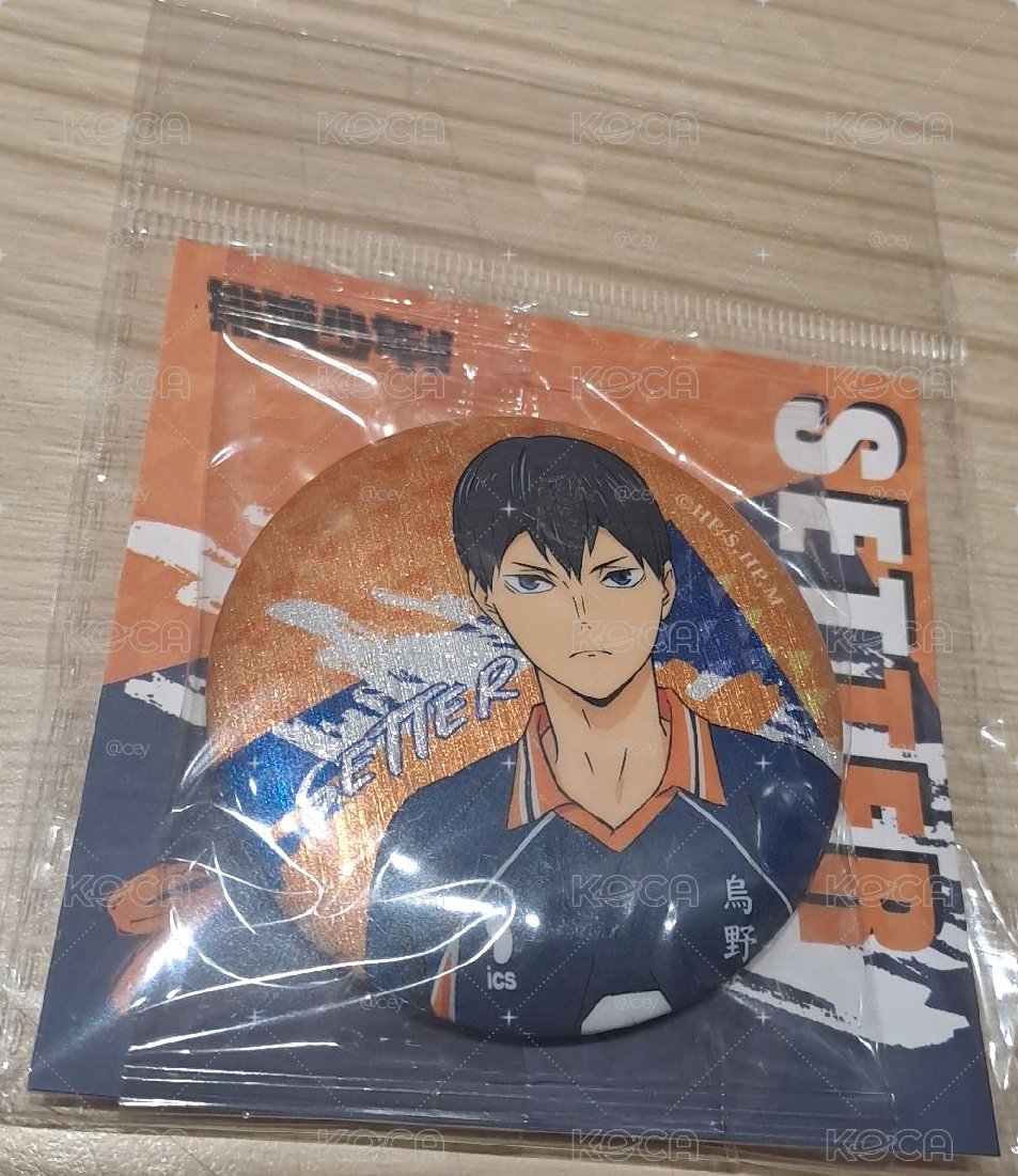 羚邦 二傳手系列 影山