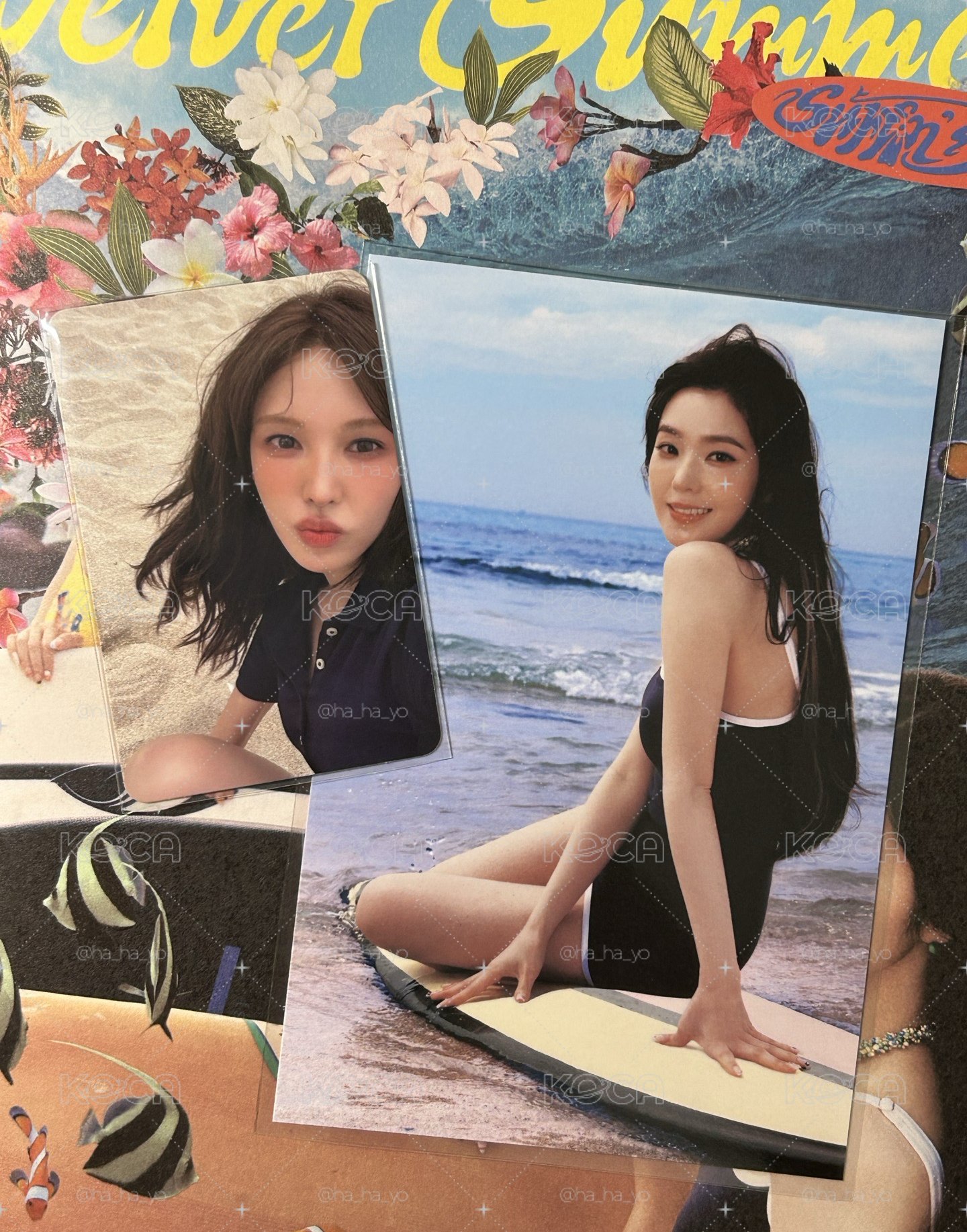 Red Velvet｜Velvet Summer 🐰🐿️