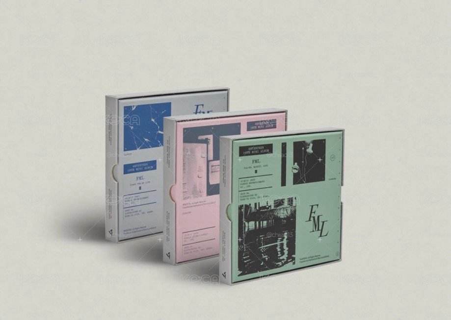 SEVENTEEN 迷十PB