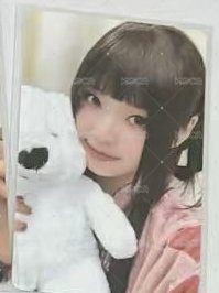 白熊