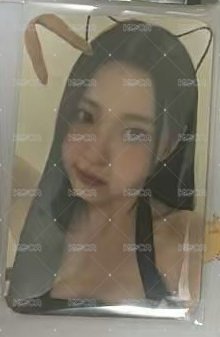 貓耳