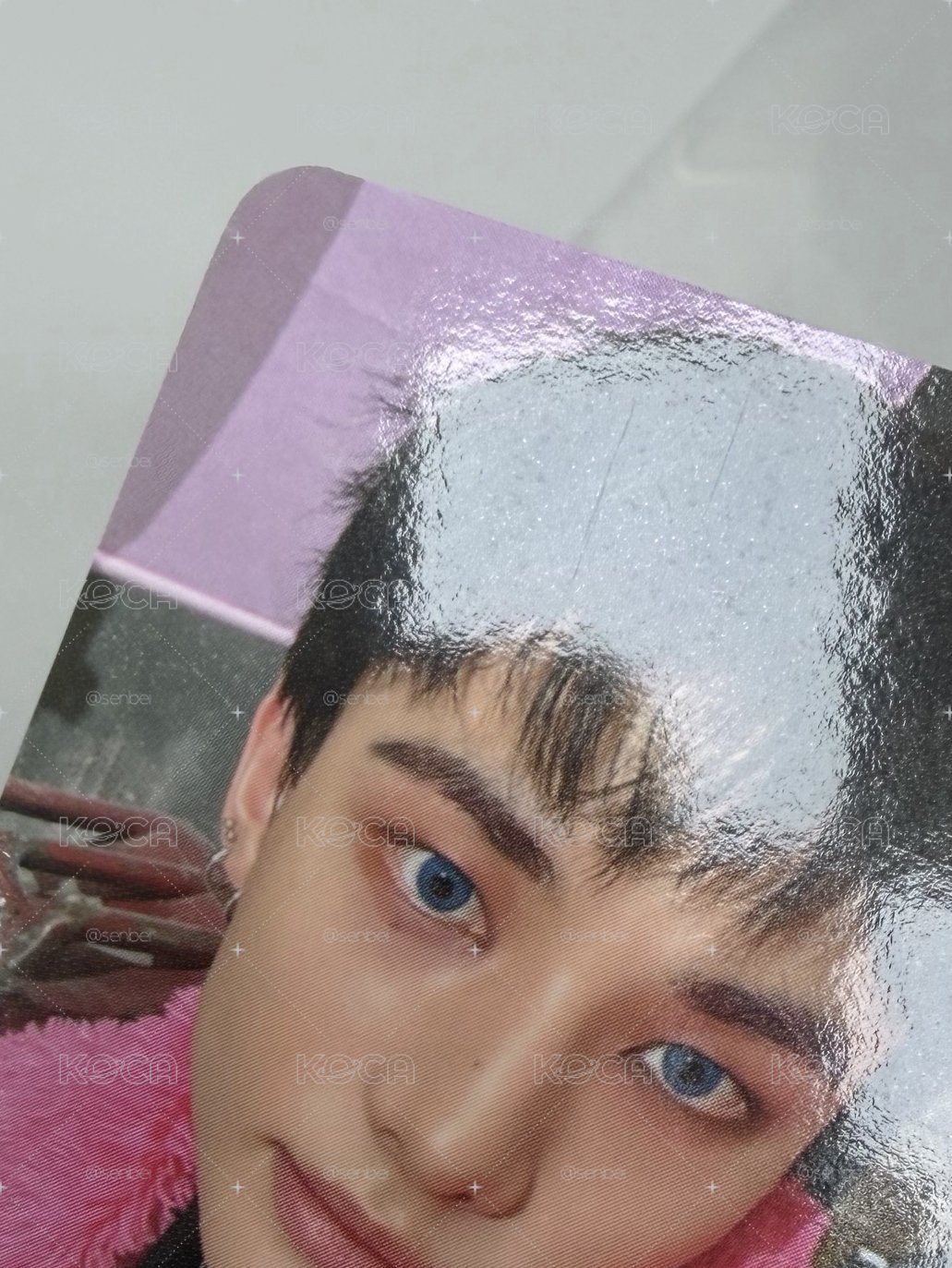 wm特典四張