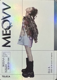 TELECA Teleca 收藏卡 MEOVV-MG-037