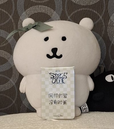小可毛毯嫄