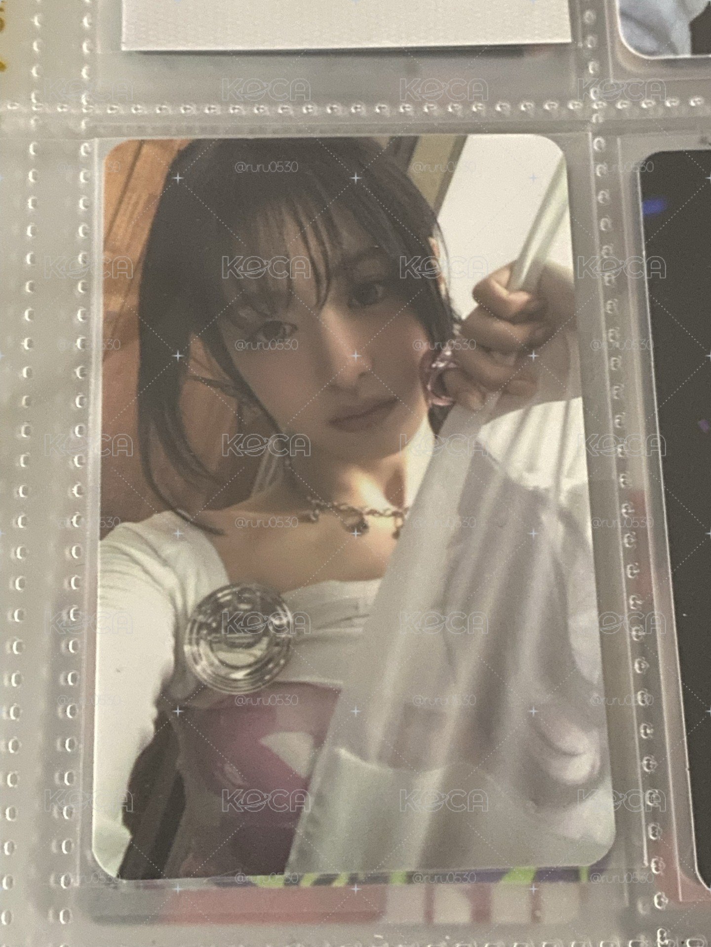 毛球賢