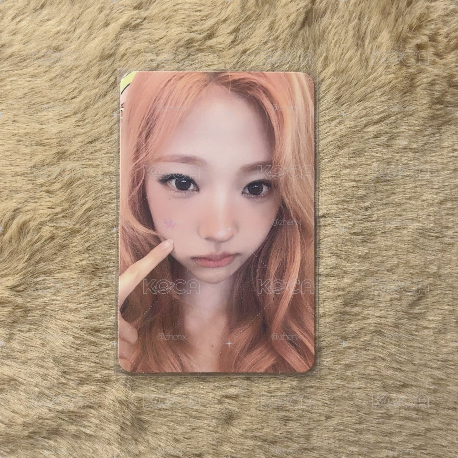 Stella專卡🧡