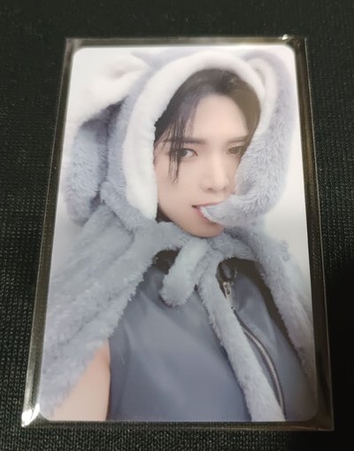 From the Witness ms 幸運卡 灰兔呂尚