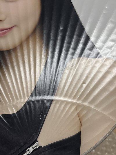 （瑕）二巡 扇子 