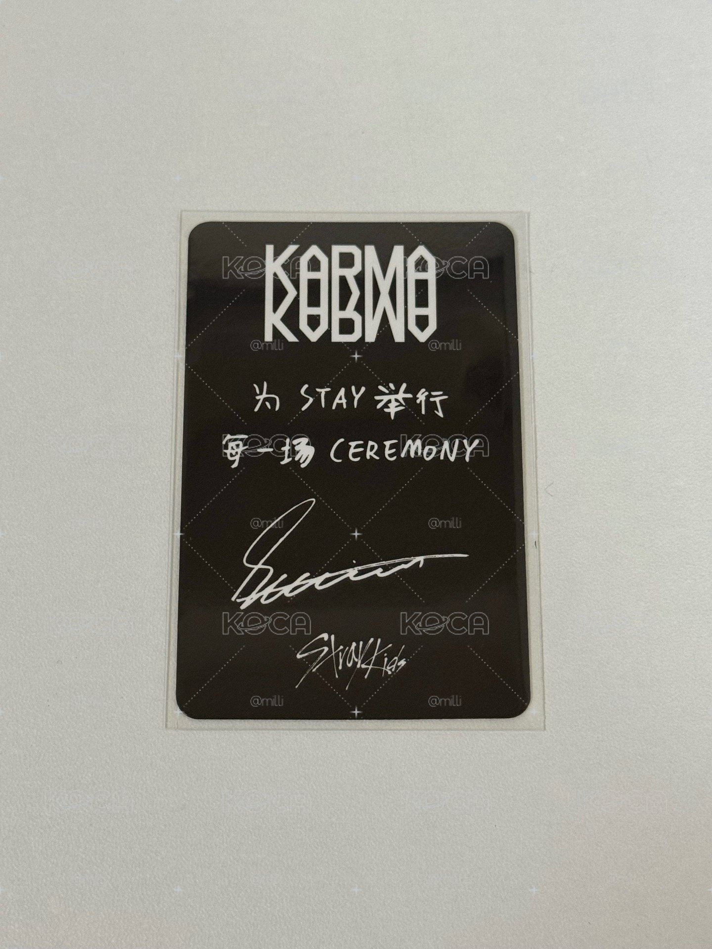 KARMA 特典 中背