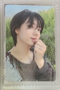 1why專卡