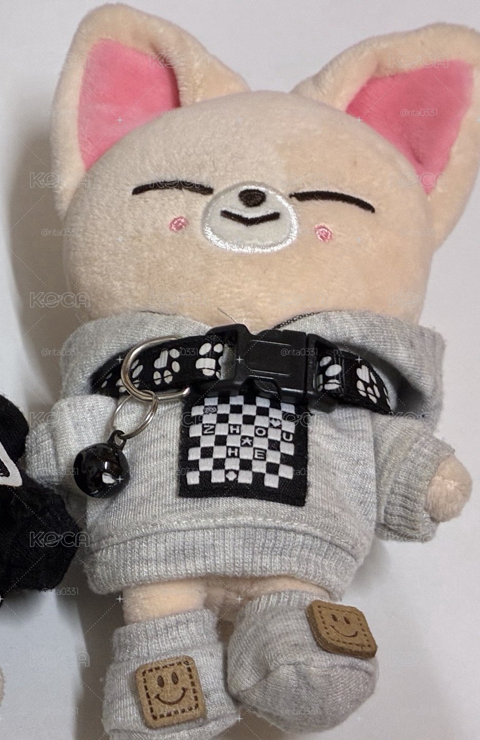 stray kids(娃區）