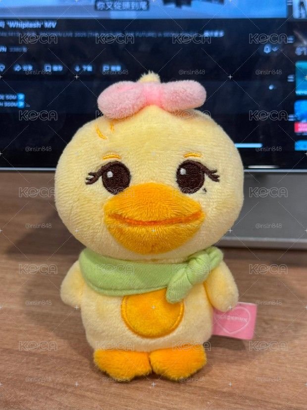 二巡 LISA 一代吊飾娃