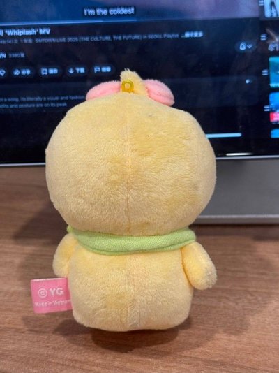 二巡 LISA 一代吊飾娃