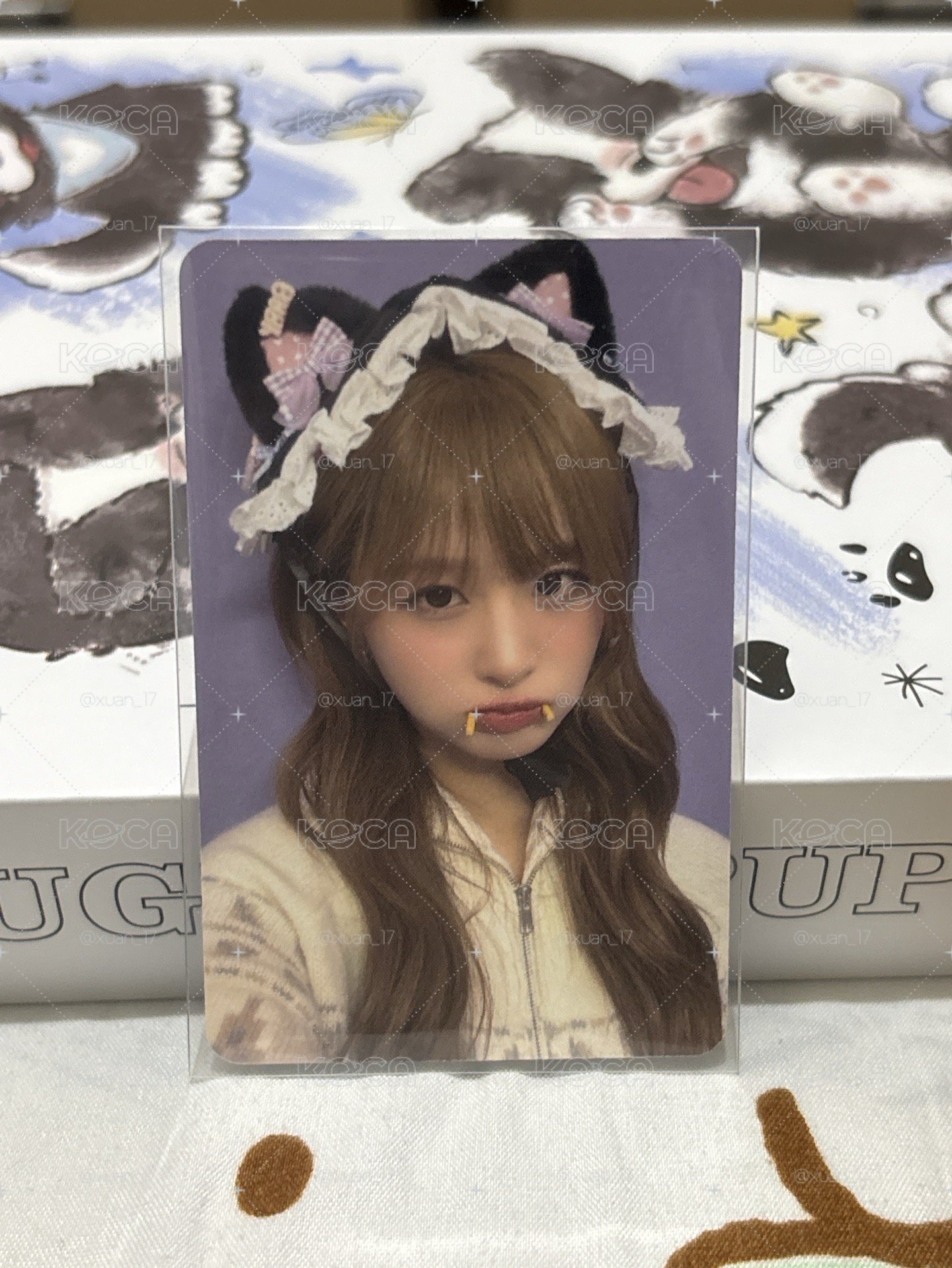 吸血鬼貓薛（需多帶💜500+）