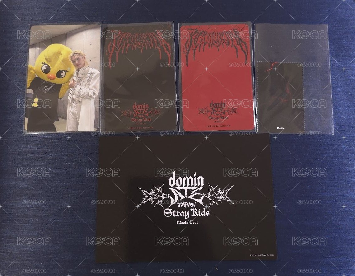 dominate DVD 樂天特典+固配 菲