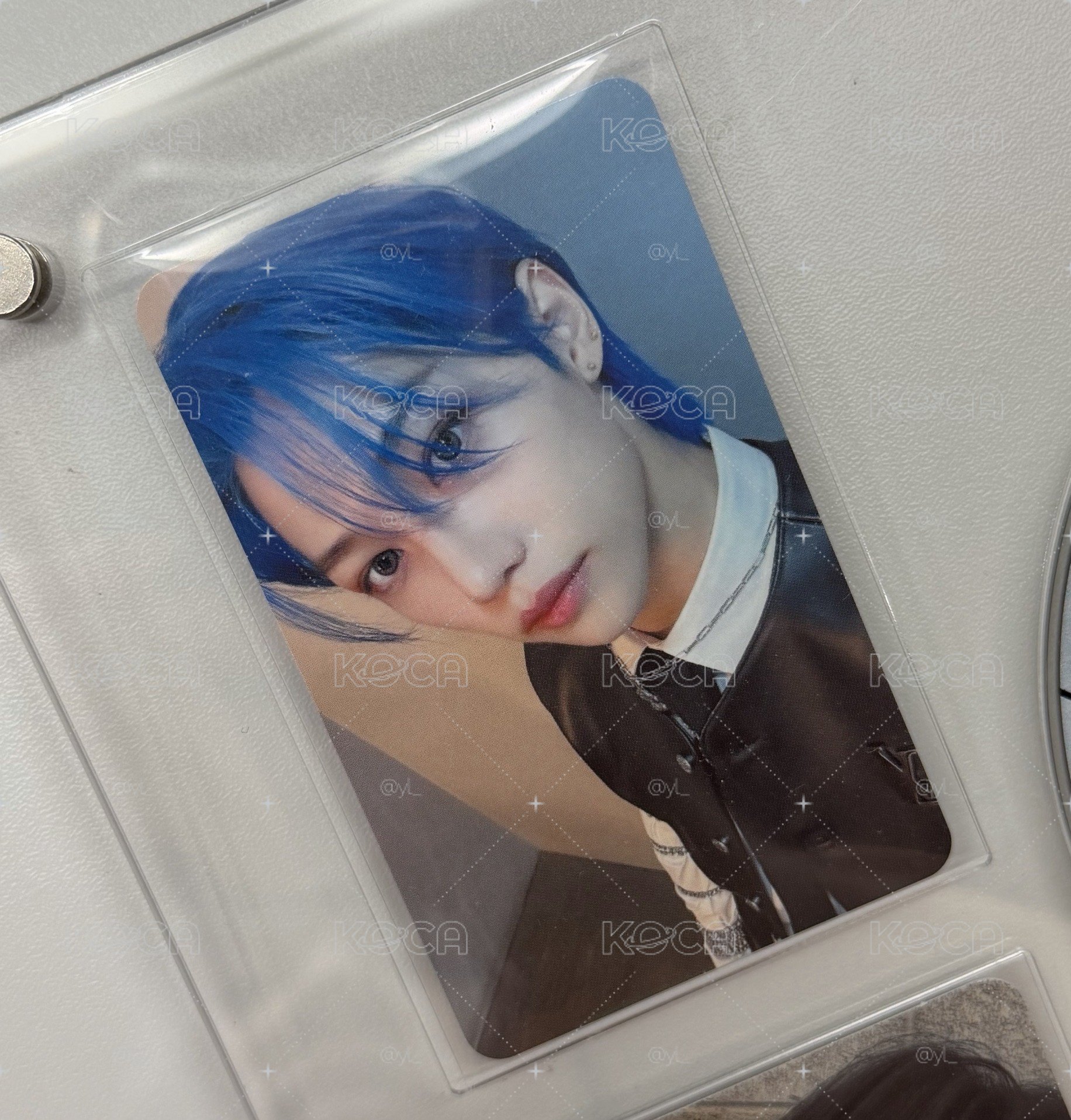 藍髮菲