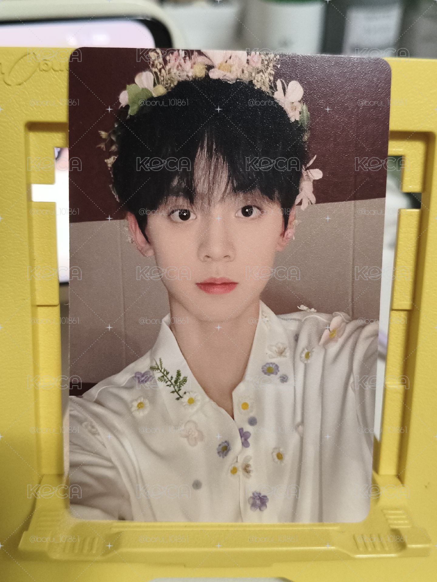 左航小花仙