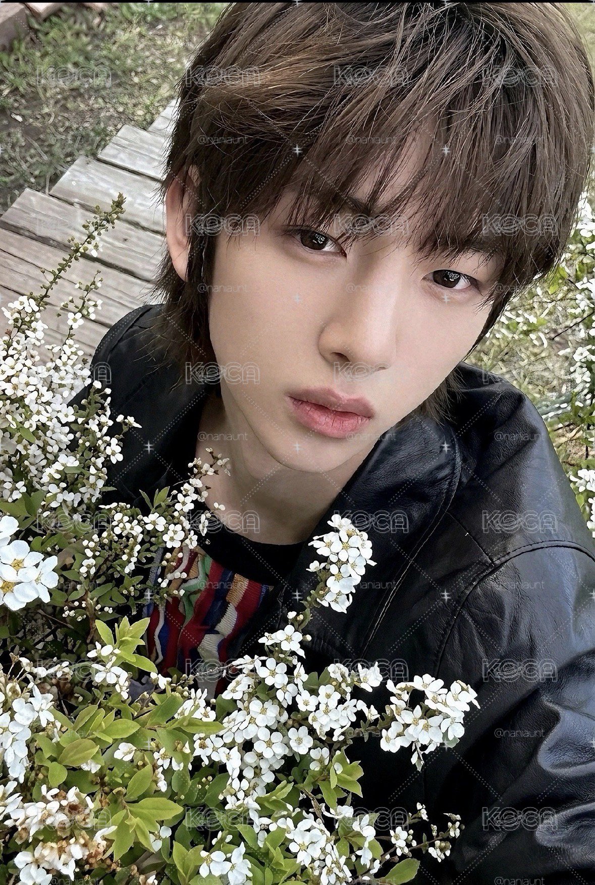捧花訓💐（原袋未拆）