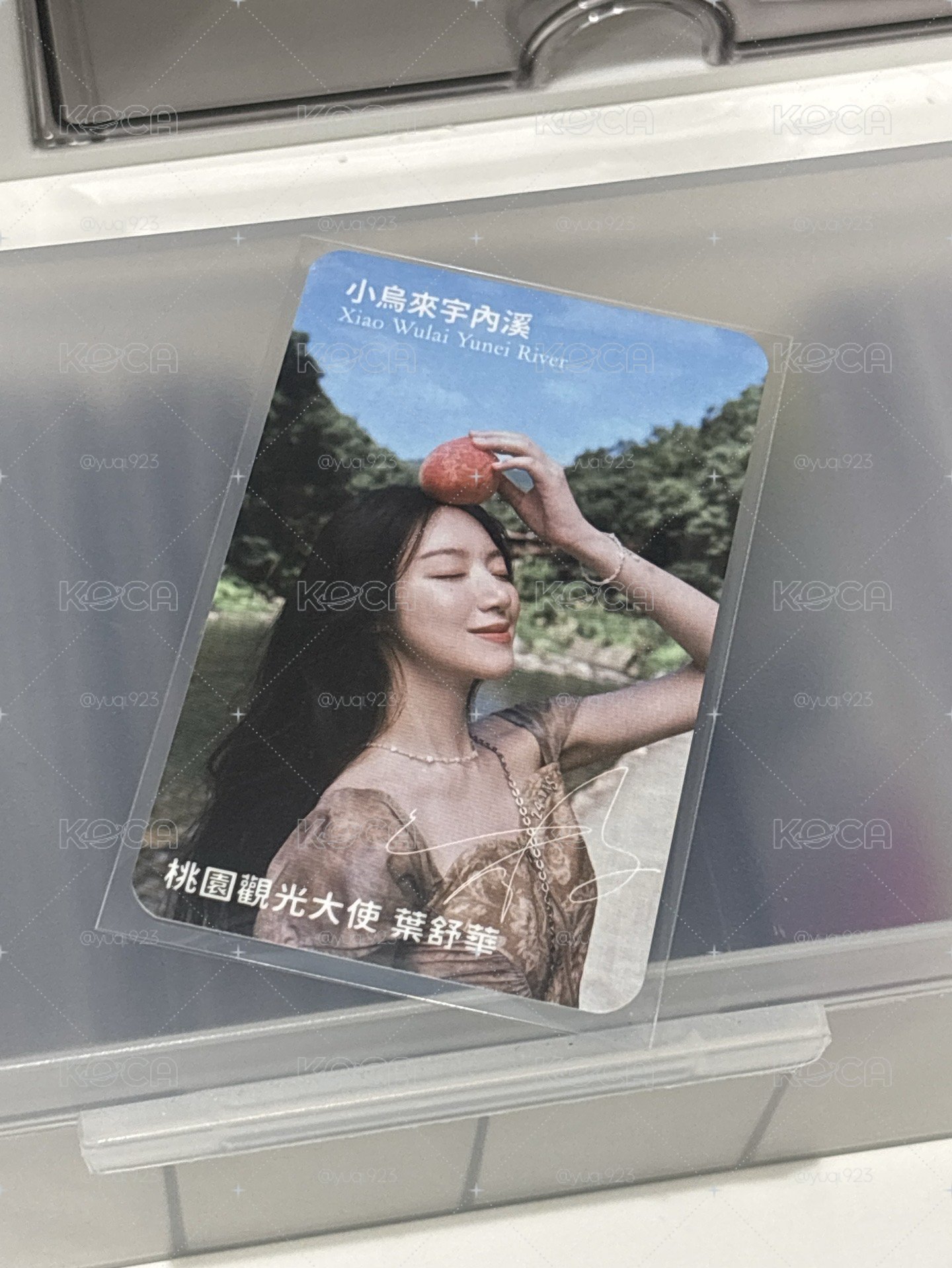 刷桃園觀光大使