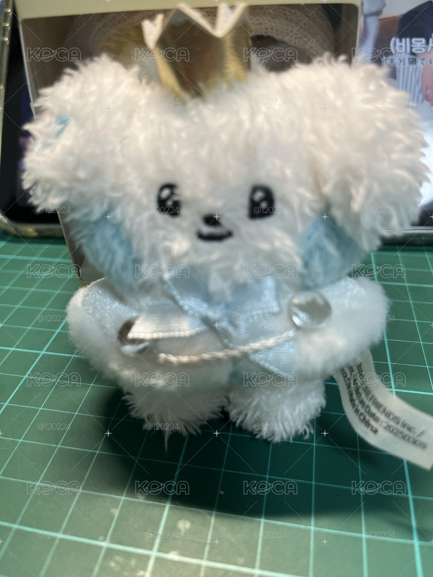 王子奎 冬日銳