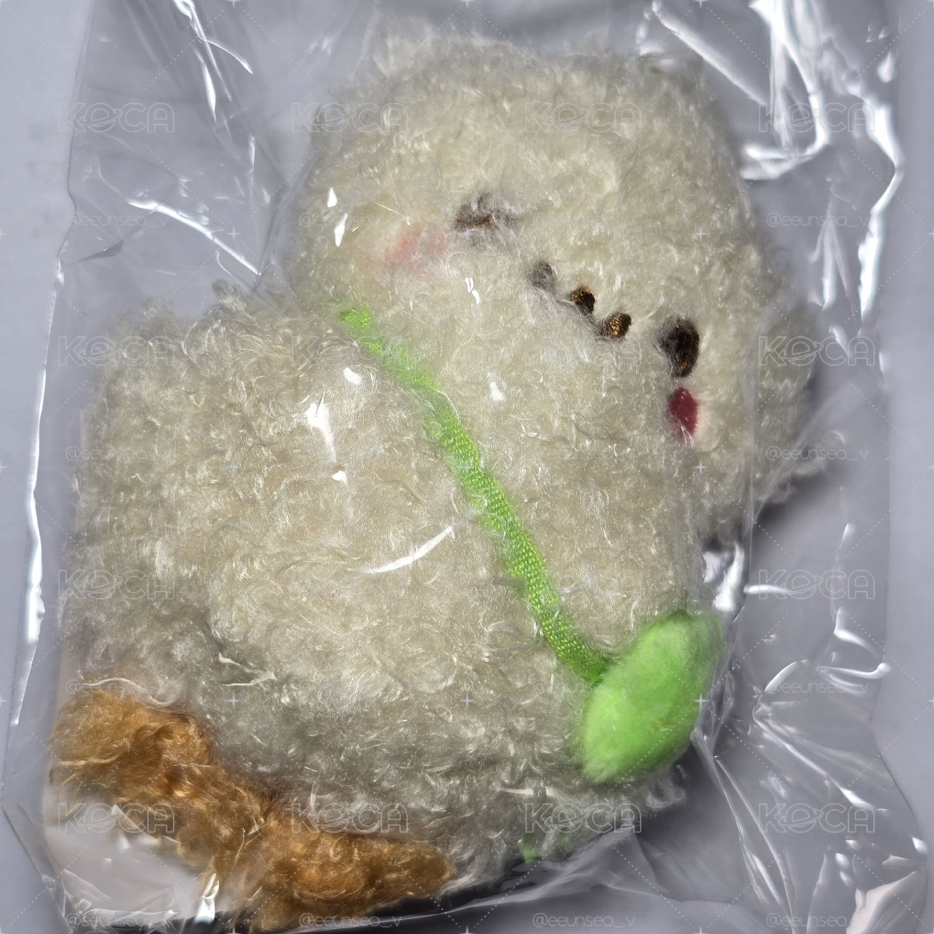 Ian 原皮娃