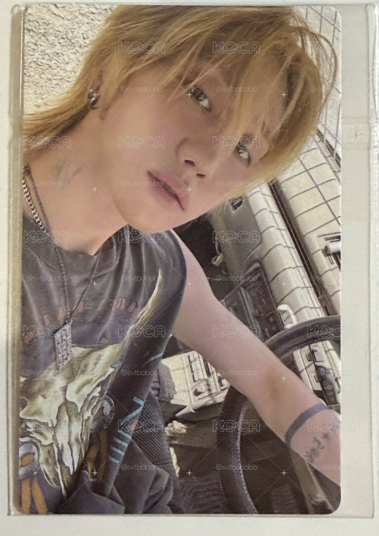‘V8’ wvs fanparty 特典卡 the 8