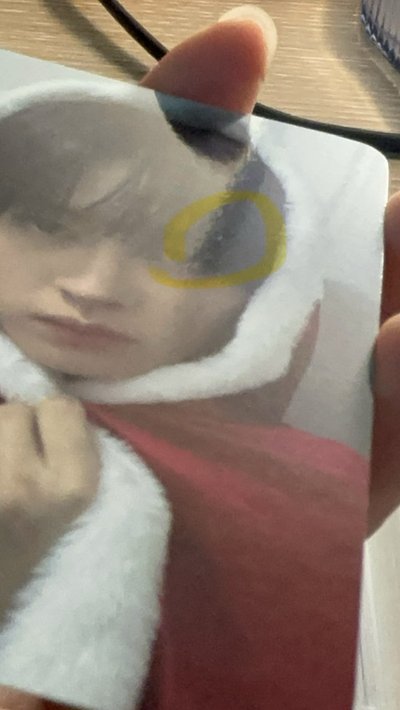 聖誕流浪貓