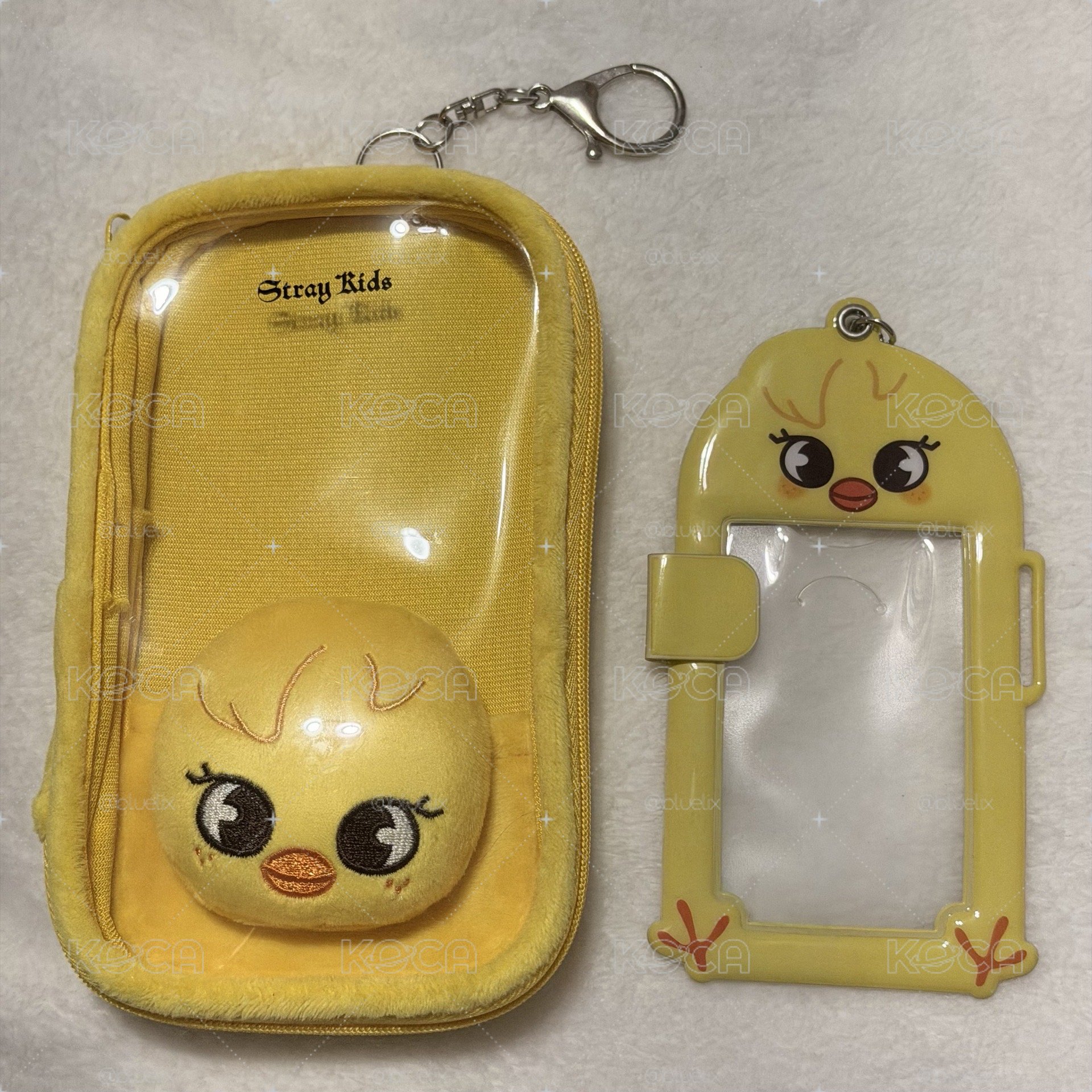 啵阿里