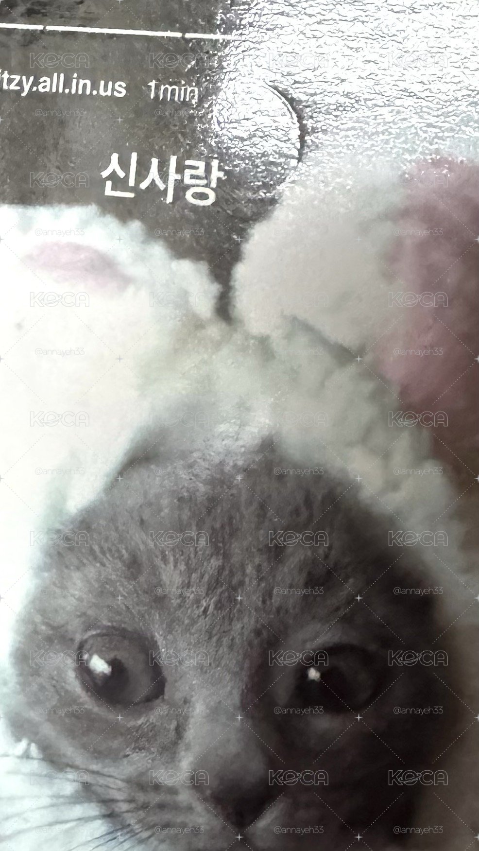 有娜 盤