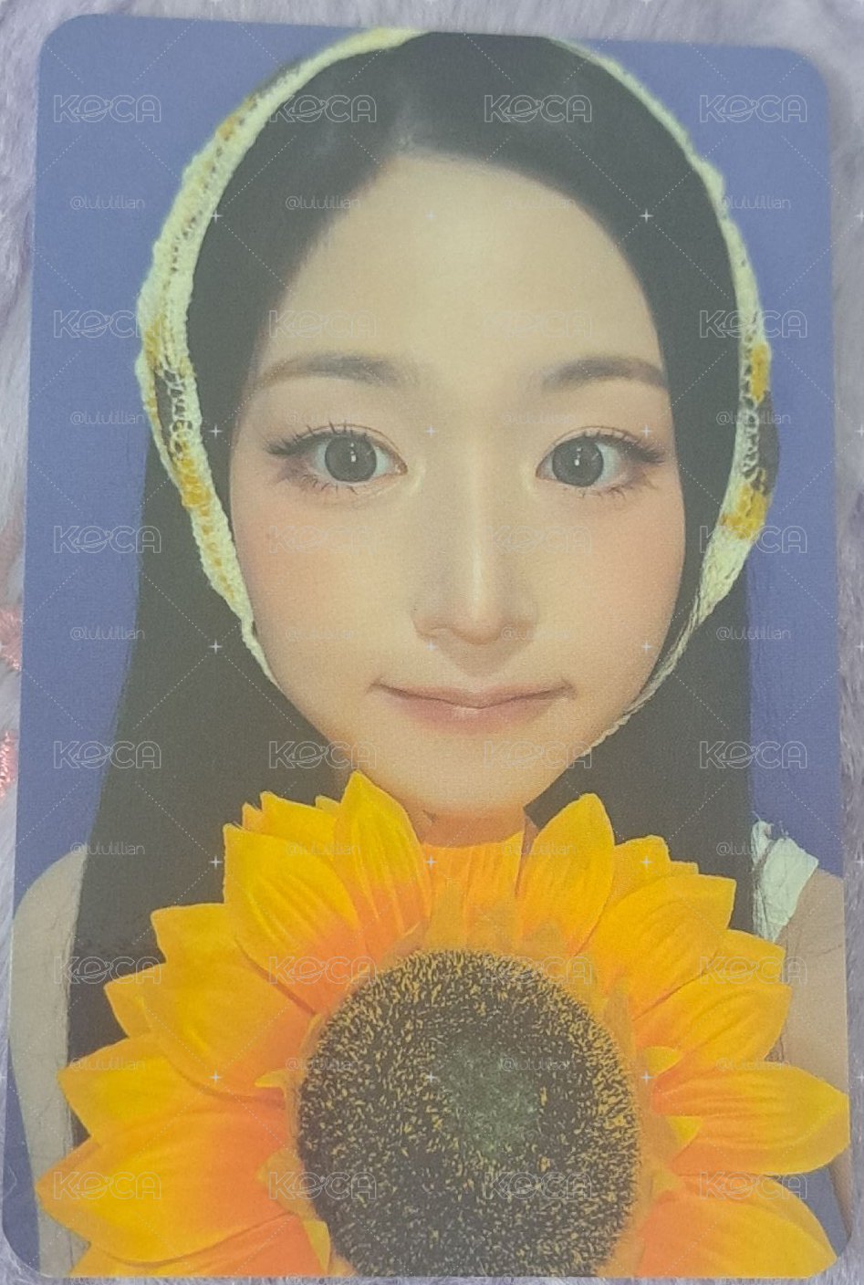向日葵 嫄